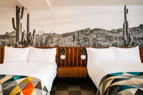 Cactus Bloom Retreat | La Vista Motel